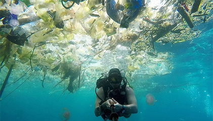 欧盟压倒性通过禁塑指令 为了海洋对一次性塑料制品说不